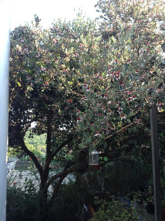 דירות קמפניינו די רומא Il Cenacolo Di Sissi מראה חיצוני תמונה